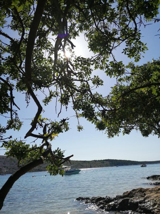 Apartmani Katarina Barbat na Rabu Eksteriør billede